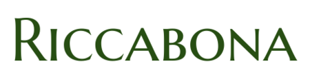Riccabona GmbH Nachfolgeplanung und Besetzungsprozesse